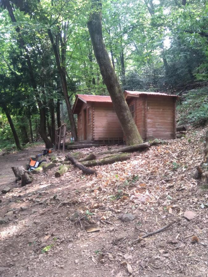 Casa Dora Lejlighed Brusino Arsizio Eksteriør billede